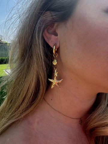Long earring starfish